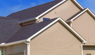 Choosing the Right Siding for Your Homes Aesthetic