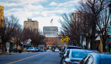 The Relationship Between Parking Availability and Local Businesses