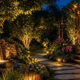 designing night gardens how aq lighting crafts luxury after dark