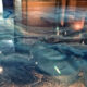 epoxy floors that beat the heat in dubai smart choices for real durability