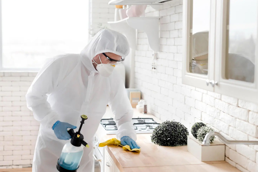 smart home upkeep stopping mold and electrical trouble before they start