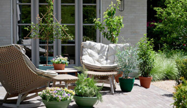 spring lays it bare reviving a patio after months of cold and quiet