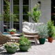 spring lays it bare reviving a patio after months of cold and quiet