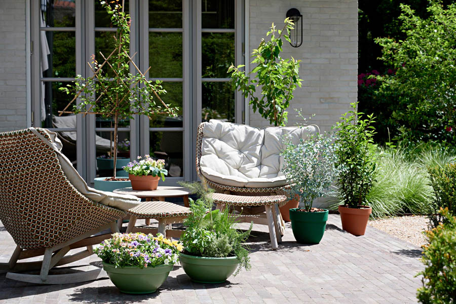 spring lays it bare reviving a patio after months of cold and quiet