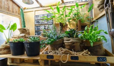 Indoor Farming Trends That Are Reshaping Home Gardening