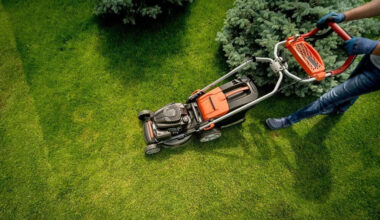 Understanding the Benefits of Hiring a Lawn Fertilizer Service
