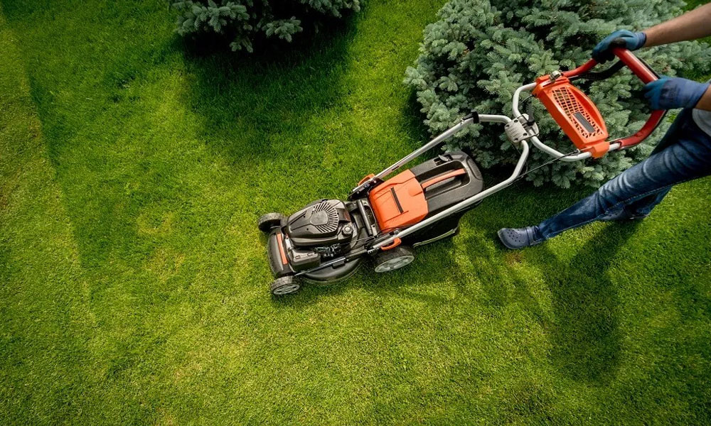 Understanding the Benefits of Hiring a Lawn Fertilizer Service