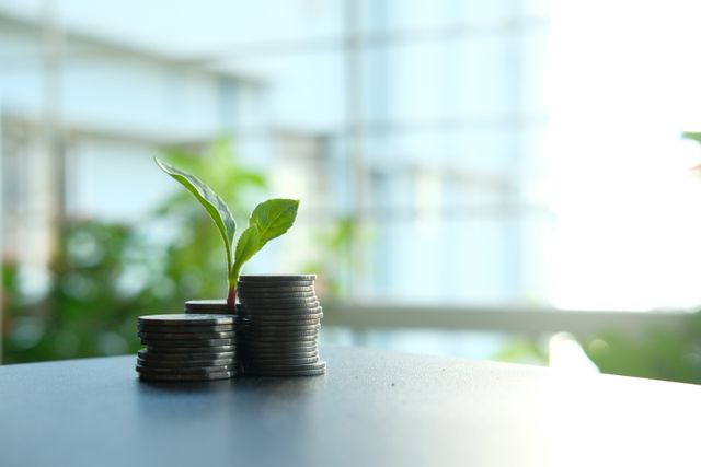 What Makes a Property a Strong Long Term Investment