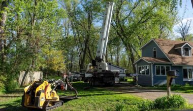 A Comprehensive Guide to Tree Removal in Battle Creek Michigan