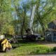A Comprehensive Guide to Tree Removal in Battle Creek Michigan