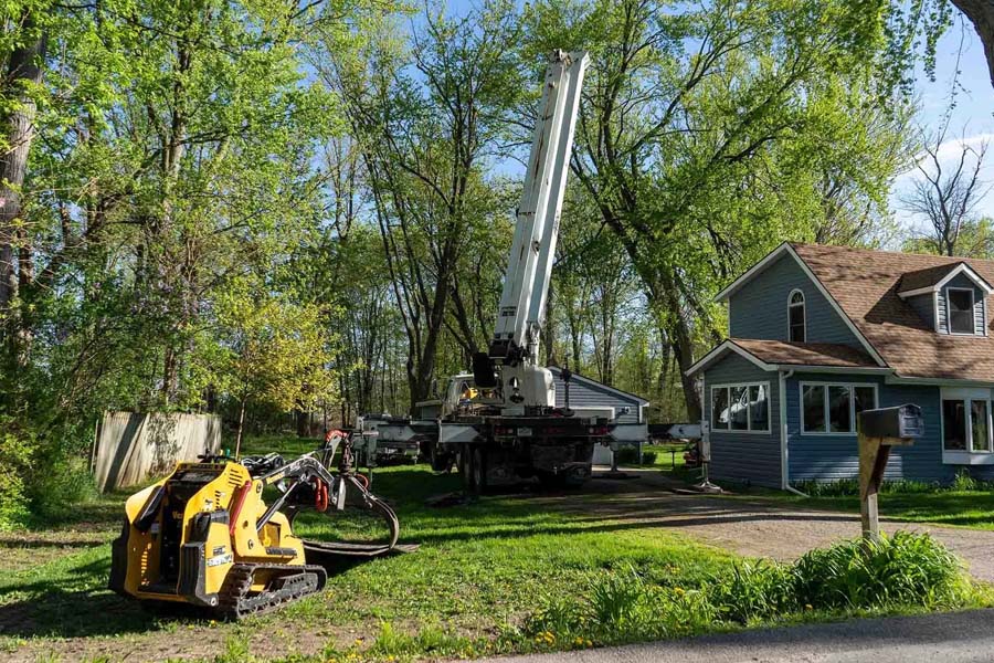 A Comprehensive Guide to Tree Removal in Battle Creek Michigan