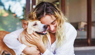 The Ideal Destination for a Pet Friendly Detox