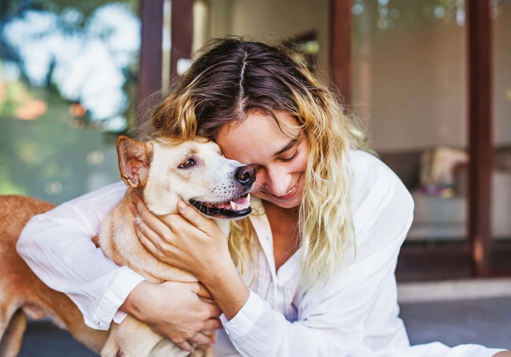 The Ideal Destination for a Pet Friendly