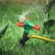 Transform Your Lawn Must Have Services for Every Homeowner