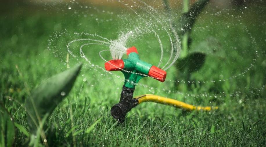 Transform Your Lawn Must Have Services for Every Homeowner