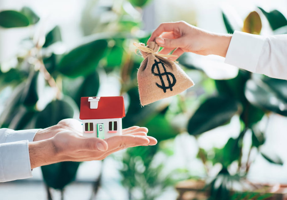 4 Ways to Attract Serious Cash Buyers for Your Acreage