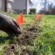 A Practical Fence Planning Checklist From Property Lines to Long Term Care