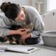Cat Parasite Prevention A Simple Plan For Indoor And Outdoor Cats