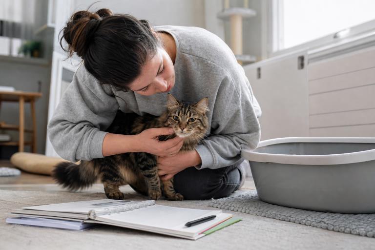 Cat Parasite Prevention A Simple Plan For Indoor And Outdoor Cats