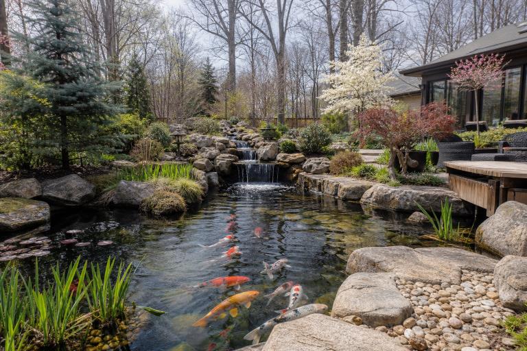 Koi Pond Care A Seasonal Checklist For Clear Water And Healthy Fish