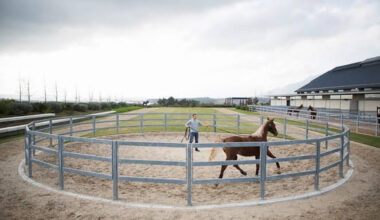 Sizing Your Indoor Arena for Your Riding Discipline