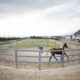Sizing Your Indoor Arena for Your Riding Discipline