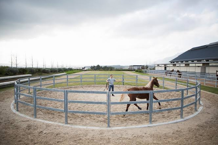 Sizing Your Indoor Arena for Your Riding Discipline
