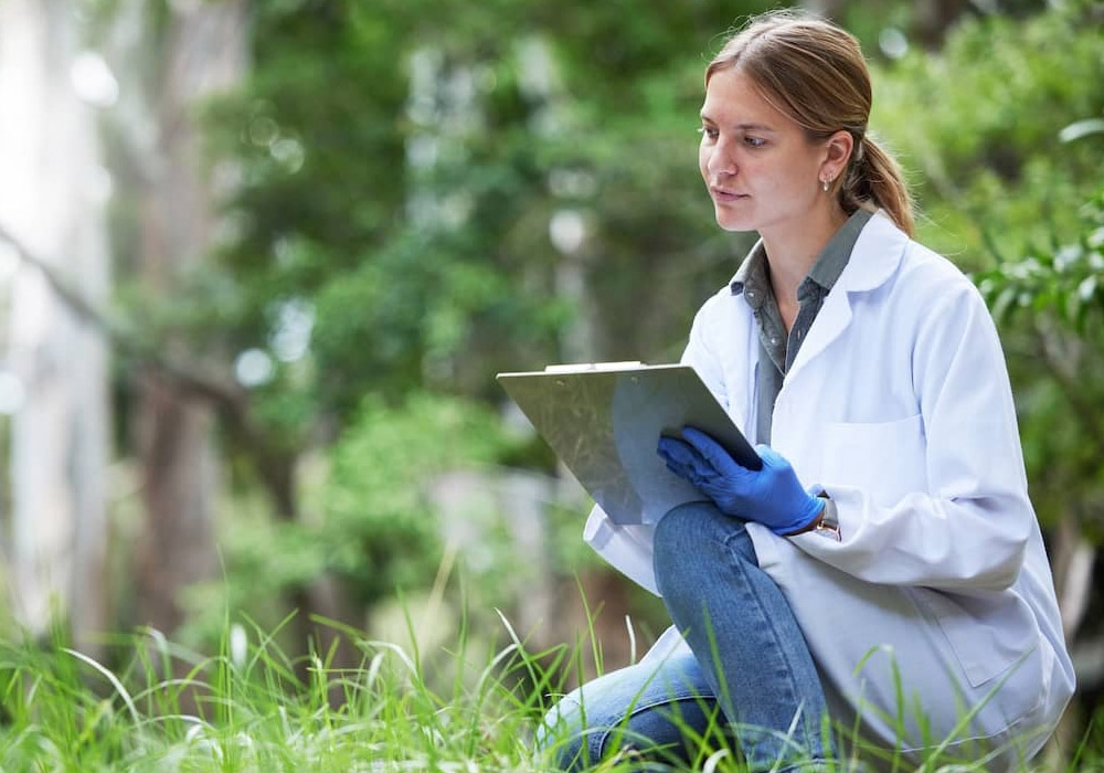 The Impact of Environmental Science in a Biology Degree Program