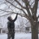 Dormant Season Pruning in St. Cloud Why Minnesota Trees Prefer the Cold