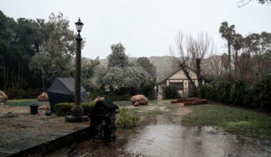 How to Fix Poor Yard Drainage Before It Wrecks Your Lawn