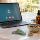 A Plain Language Guide to Natural Therapies You Can Access by Telehealth