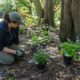 How to Choose Plants for Sun Shade and Seasonal Change in a Mid Atlantic Garden