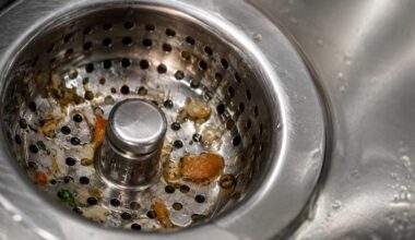 What Belongs Down the Drain A Practical Guide to Septic Safe Cleaning and Home Care