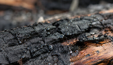 What To Do After a House Fire in Seattle Washington A Homeowners Recovery Guide