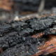 What To Do After a House Fire in Seattle Washington A Homeowners Recovery Guide