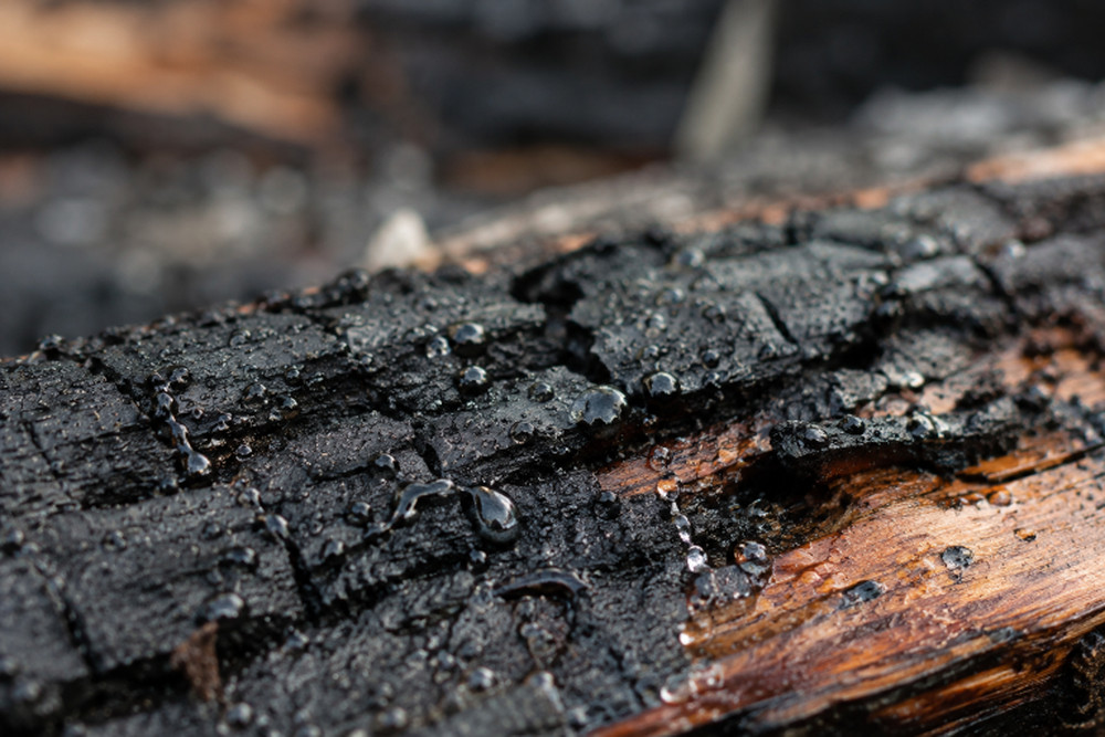 What To Do After a House Fire in Seattle Washington A Homeowners Recovery Guide
