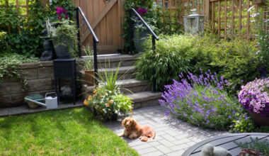 Why Your Garden Deserves a Little More Attention