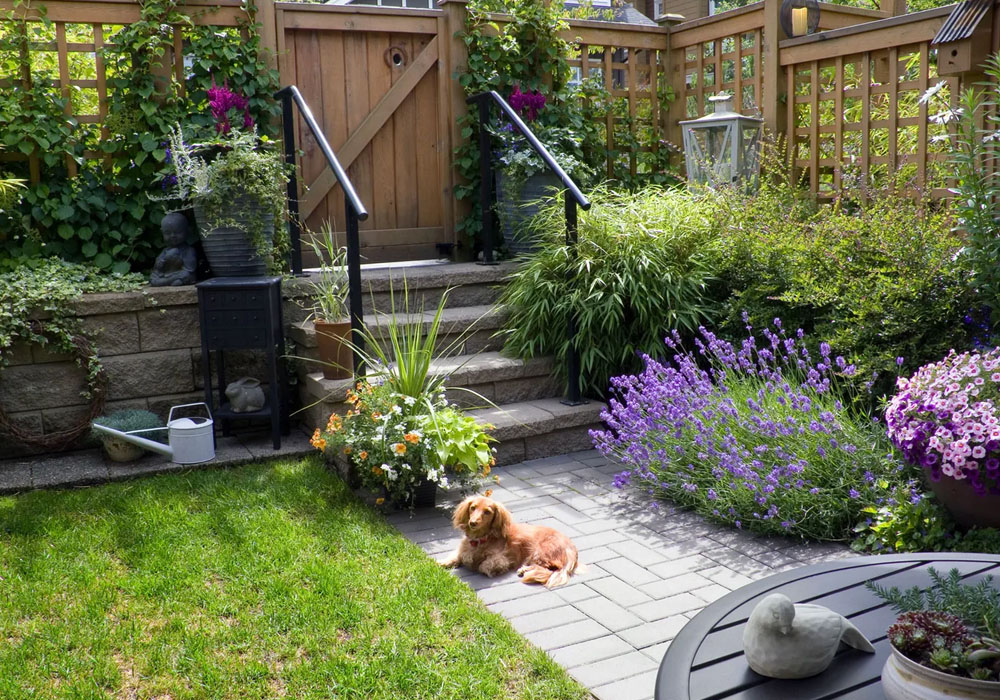 Why Your Garden Deserves a Little More Attention